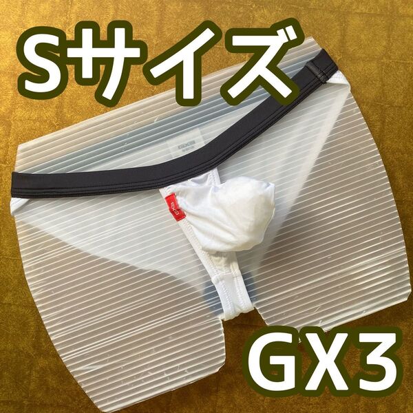 【GX3】ビキニパンツ Sサイズ