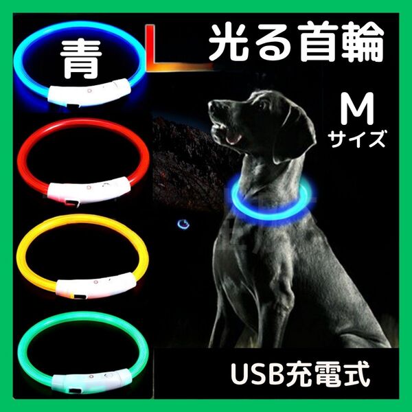 ペット 犬用 発光 LED 光る首輪 USB充電式 散歩 事故防止 安全 青 M