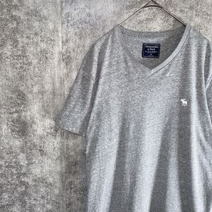 【Abercrombie & Fitchアバクロ】VネックTシャツ 霜降り 刺繍 Tシャツ 半袖 半袖Tシャツ グレー カットソー