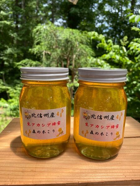 令和7年新蜜 生アカシア蜂蜜1本 600g2本セット森の木こりが北信州の高原で丁寧に採蜜した生アカシア蜜を産地直送でお届けします