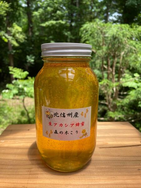 令和7年新蜜 生アカシア蜂蜜1200g1本森の木こりが北信州の高原で丁寧に採蜜した生アカシア新蜜を産地直送でお届けします