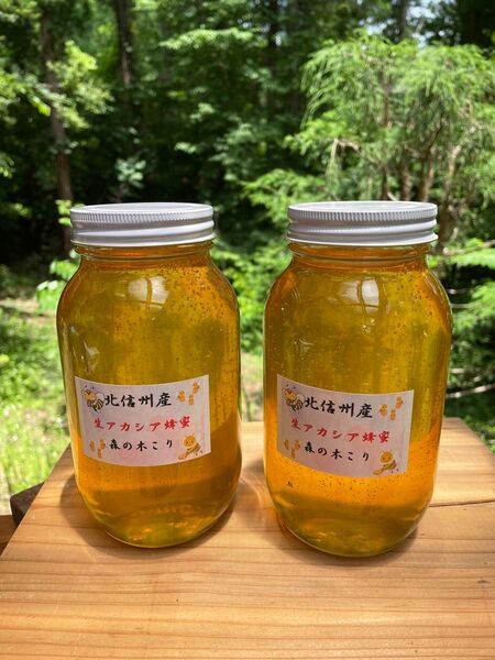 令和7年新蜜 生アカシア蜂蜜1本1200g2本セット森の木こりが北信州の高原で丁寧に採蜜した生アカシア蜂蜜の新蜜を産地直送でお届け
