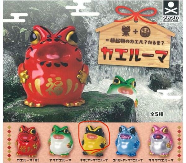 カエルーマ キオビヤドクガエルーマ フィギュア カエル 蛙 だるま ガチャ カプセルトイ リーフレット付き