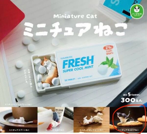 ミニチュアねこ ミニチュアキャビアねこ パンダの穴 タカラトミーアーツ ガチャ カプセルトイ 猫 フィギュア