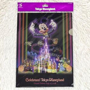 ディズニーランド 35周年 セレブレイト クリアホルダー