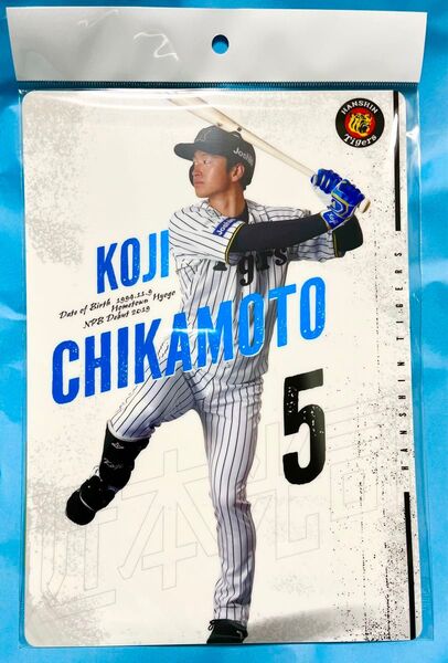 【新品未使用】阪神タイガース 5 近本光司選手 下敷き 下じき したじき 文房具 タイガースグッズ 公式グッズ