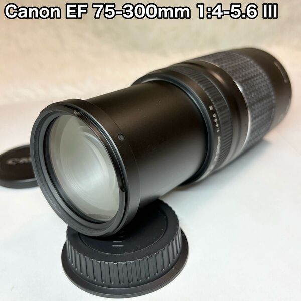 Canon キャノン EF 75-300mm 1:4-5.6 III 望遠レンズ