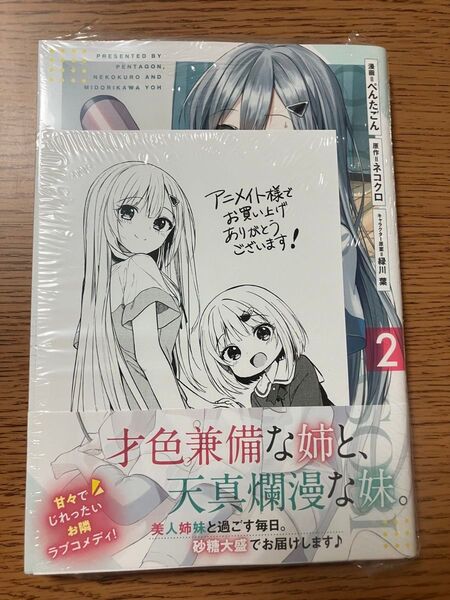 迷子になっていた幼女を助けたら、お隣に住む美少女留学生が家に遊びに来るようになった件について 2