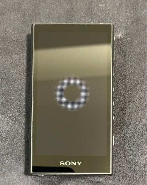 SONY ウォークマン NW-A306