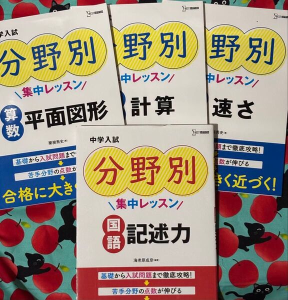 中学入試分野別集中レッスン国語・記述力、算数・平面図形、計算、速さ/ 文英堂