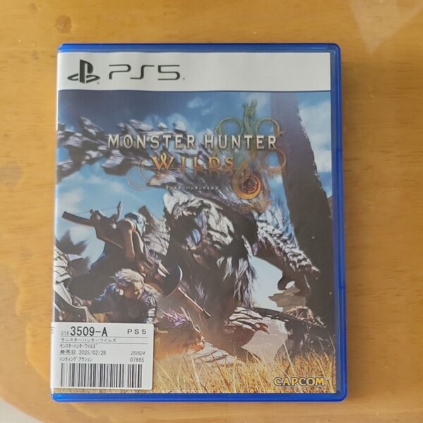 モンスターハンターワイルズ PS5