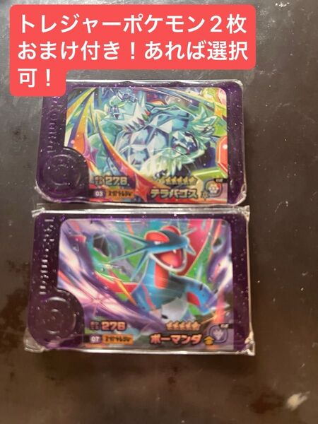 ポケモンフレンダ5段 テラパゴス ボーマンダトレジャーポケモン2枚おまけ付き!