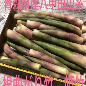 八甲田山系 3キロ以上 青森県産 根曲り竹 姫竹 根曲がり竹 タケノコ 山菜