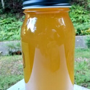 はちみつ 3kg 国産 天然 純粋 非加熱 無添加 蜂蜜 3000g 2025年採蜜 6月新蜜【養蜂家直送】