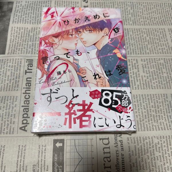 ひかえめに言っても、これは愛 5