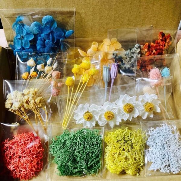 小分け花材セット 72 練習用花材 A6ボックス レジン 訳あり花材 ハンドメイド ドライフラワー プリザーブドフラワー