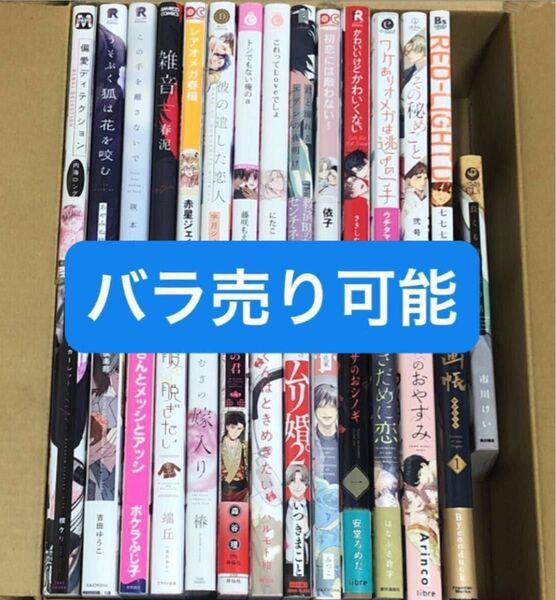BLコミック 17冊セット まとめ売り バラ売り可能 リーフレット ペーパー 特典付き