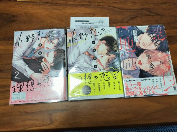 水野忍の理想の恋愛1,2巻 恋地獄で待つ 3冊セット