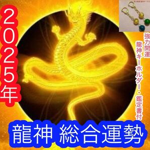 【令和7年 2025年 龍神総合鑑定】 強力開運キーホルダーおひとつ 鑑定書