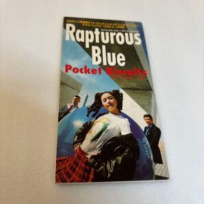 RAPTUROUS BLUE/ポケットビスケッツ、 CHIAKI、 パッパラー河合