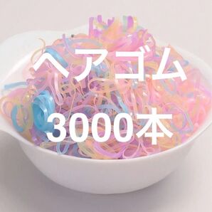 ヘアゴム 3000本 シリコンゴム ミニゴムバンド 髪ゴム 大容量 まとめ髪 ベビー キッズ 赤ちゃん 子ども 保育園 幼稚園