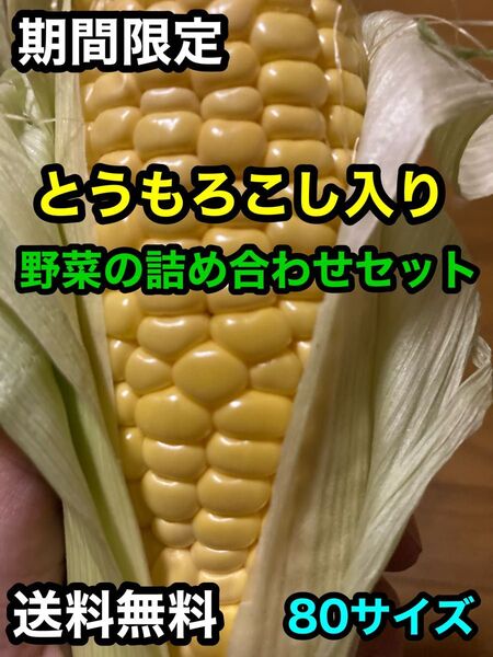 愛知県西尾市産 とうもろこし入り野菜の詰め合わせ 80サイズ 火曜/木曜/日曜日発送