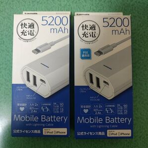 モバイルバッテリー 5200mAh 2個 多摩電子工業 TL86LAW (65-0439-95)