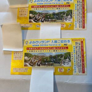 よみうりランド 入園ご招待券2枚セット
