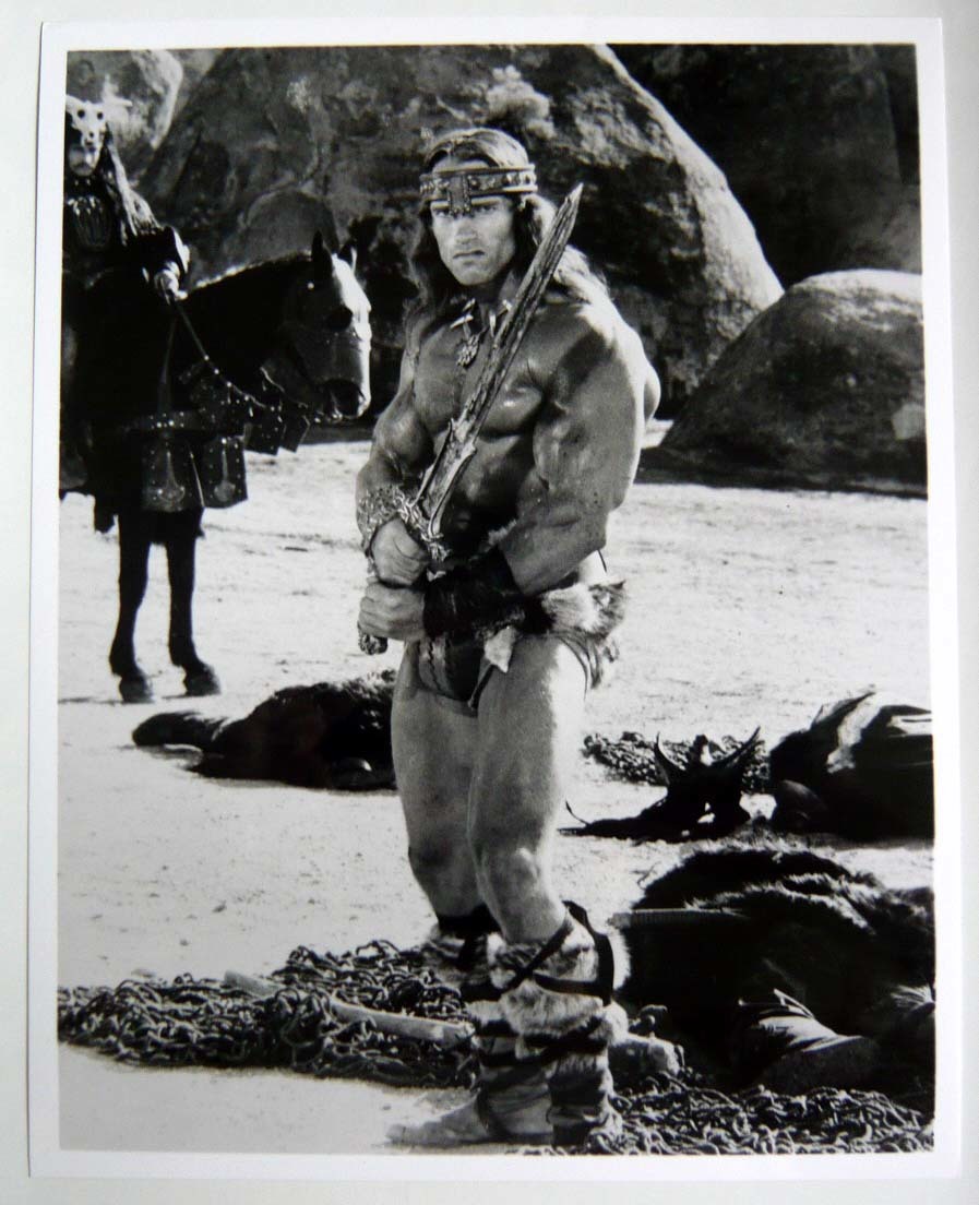 Arnold Schwarzenegger (King of the Destroyers) US version original still photo (1), movie, video, Movie related goods, photograph