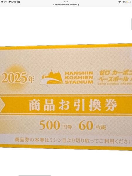 阪神甲子園球場2025年 商品お引換券 500円券 60枚綴り、お値下げ不可
