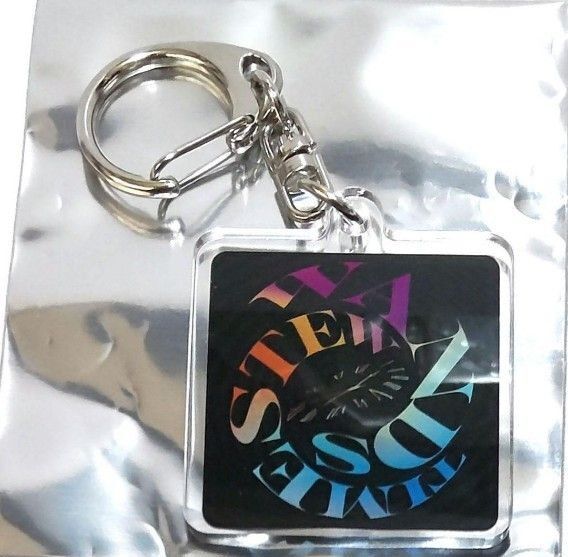WANDS Live Tour 2025 ~TIME STEW~ ランダムキーホルダー ⑦