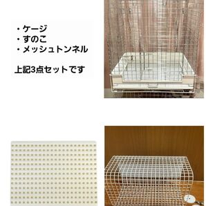 コンフォート60ハイルーフ ロイヤルチンチラDX 限定色 メッシュトンネル