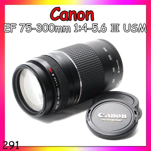 即決価格!値下不可 美品 動作良好 Canon EF 75-300mm F4-5.6 III USM
