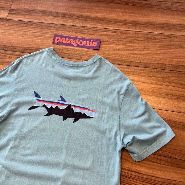 パタゴニア オーガニックコットン Tシャツ ターポン Patagonia サイズM