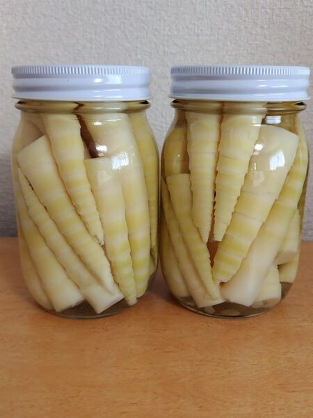 ニセコ産タケノコ( 根曲がり竹)真空瓶詰め450ml2瓶 訳ありお買い得品
