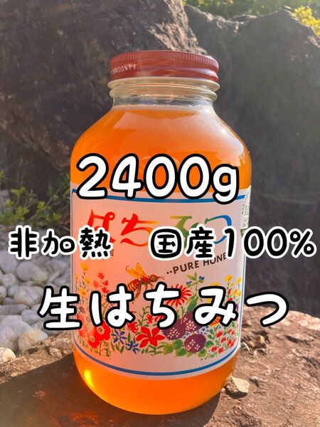 2400g【国産・天然100%】純粋 生はちみつ