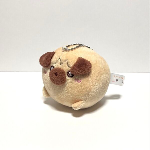 peanus club クリクリ おメメわんちゃん ぬいぐるみ ボールチェーン