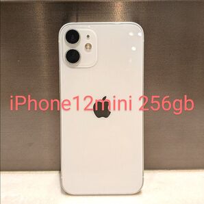 【美品】Apple iPhone12mini 256GB + ケース2種類
