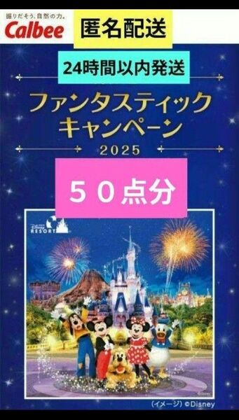 カルビー ファンタスティックキャンペーン2025 応募券50点分