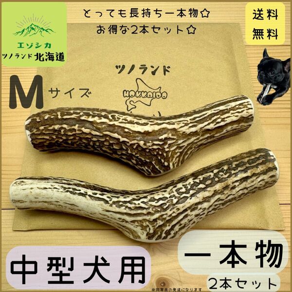 ◯鹿の角◯Mサイズ1本物×2本セット◯犬のおもちゃ◯中型犬用◯