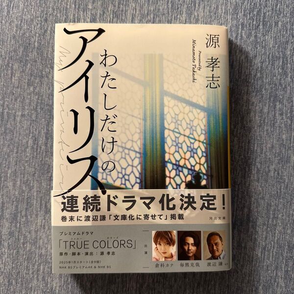 わたしだけのアイリス (河出文庫 み30-2) 源孝志/著