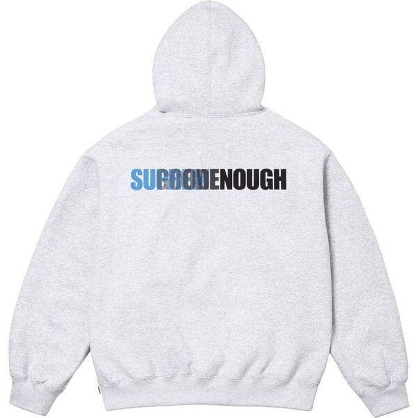 サイズM Supreme GOODENOUGH Hooded Sweatshirt Ash Grey フーディー パーカー