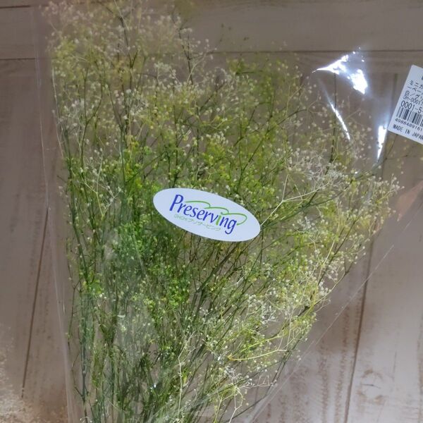 1【少し訳あり】かすみ草カスミ草フラワーベール白グリーン プリザーブドフラワードライフラワー花材ハンドメイドフラワーアレンジメント