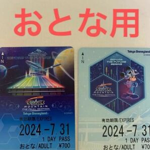 リゾートライン スペースマウンテン おとな ファイナル ディズニーリゾートライン ディズニーランド