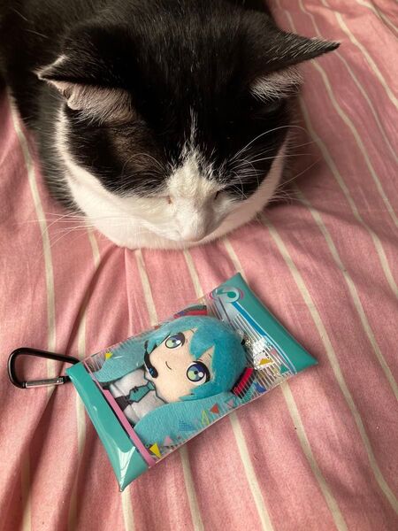 プロセカ 初音ミク ぬい