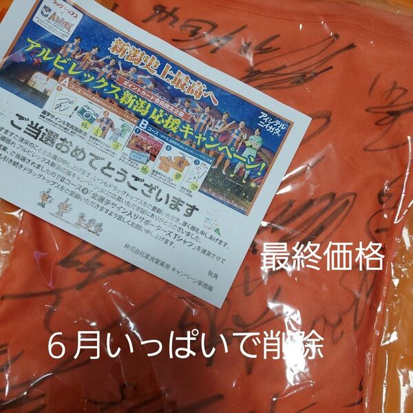 アルビレックス新潟 非売品 当選品 全選手 サイン入り Tシャツ フリーサイズ アルビ