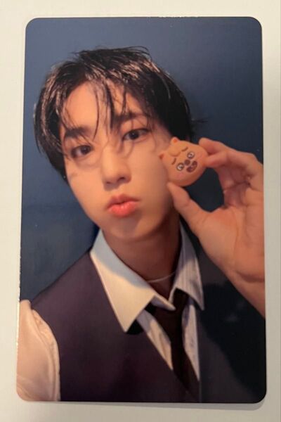 straykids たまごっち 特典トレカ ハン
