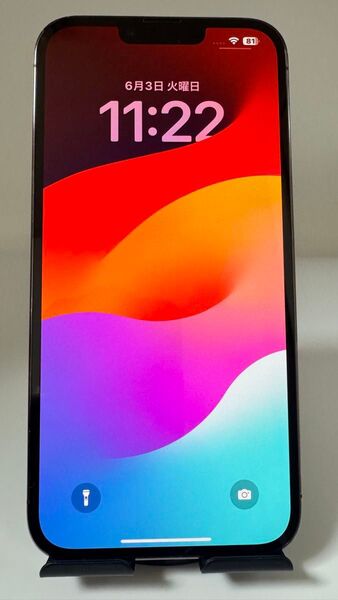 iPhone 13pro Max 1TBグラファイト SIMフリー美品