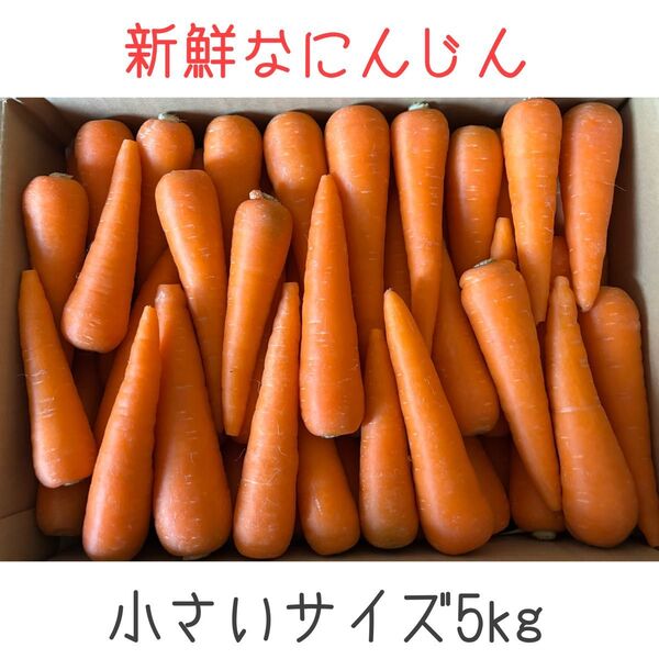 新鮮なにんじん 小さい人参 5kg