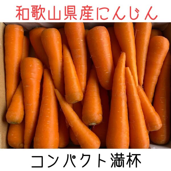 2.新鮮なにんじん 小さい人参 コンパクト満杯